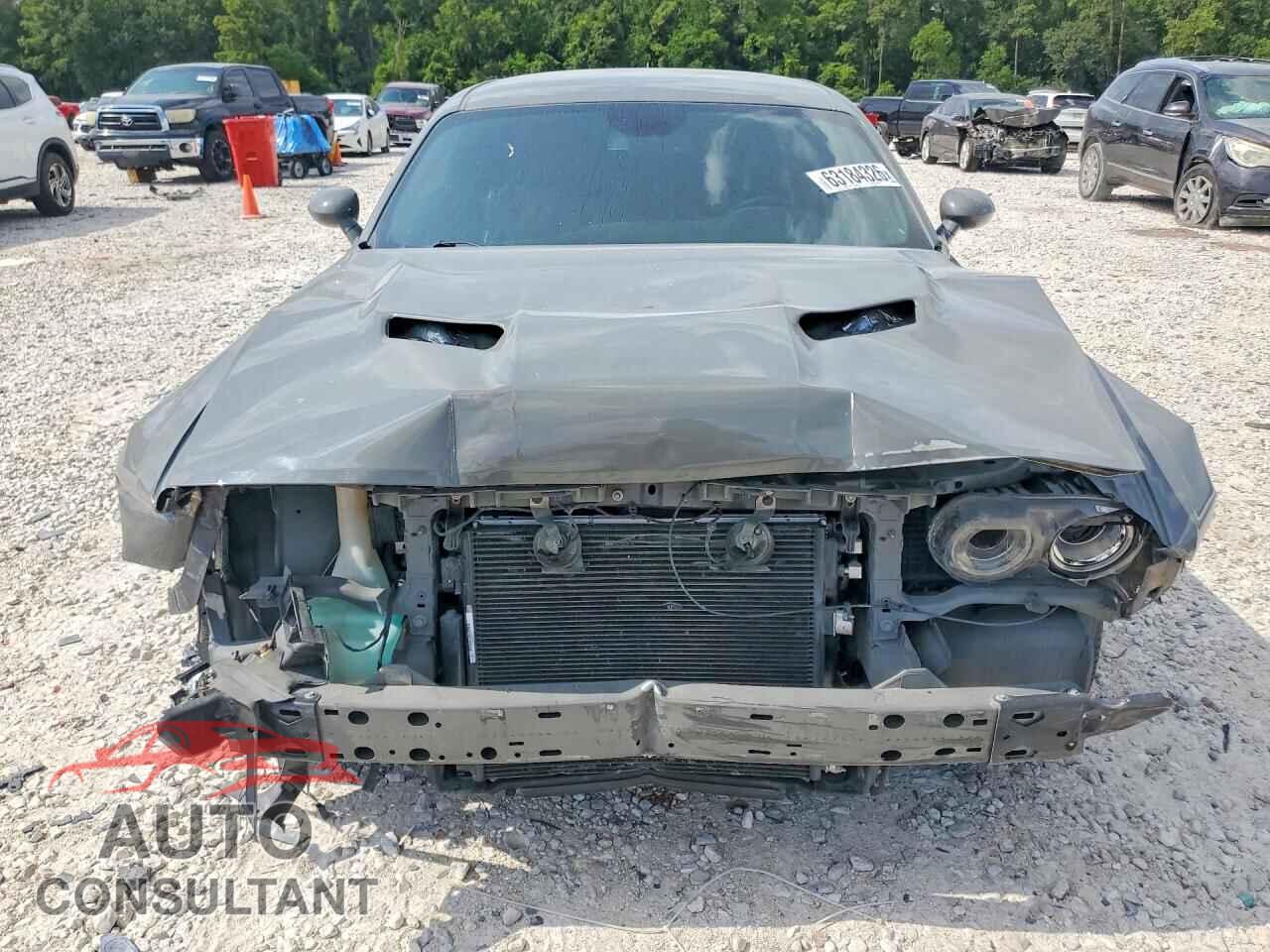 DODGE CHALLENGER 2017 - 2C3CDZAGXHH598286