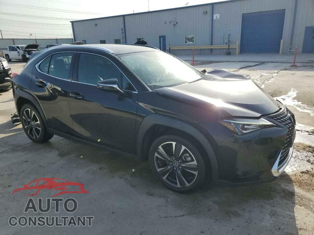 LEXUS UX 200 2019 - JTHY3JBH9K2000491