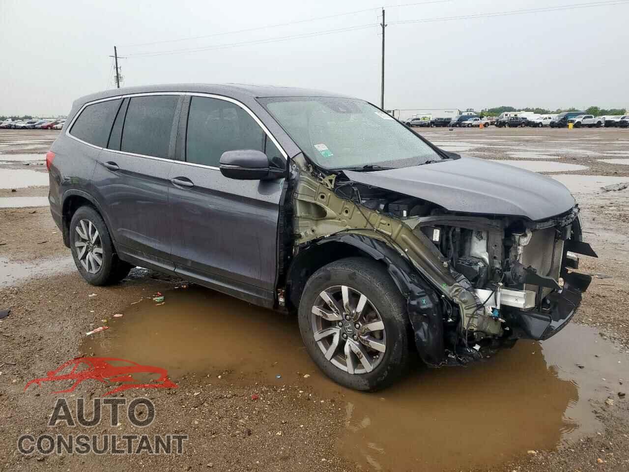 HONDA PILOT 2019 - 5FNYF5H56KB006372