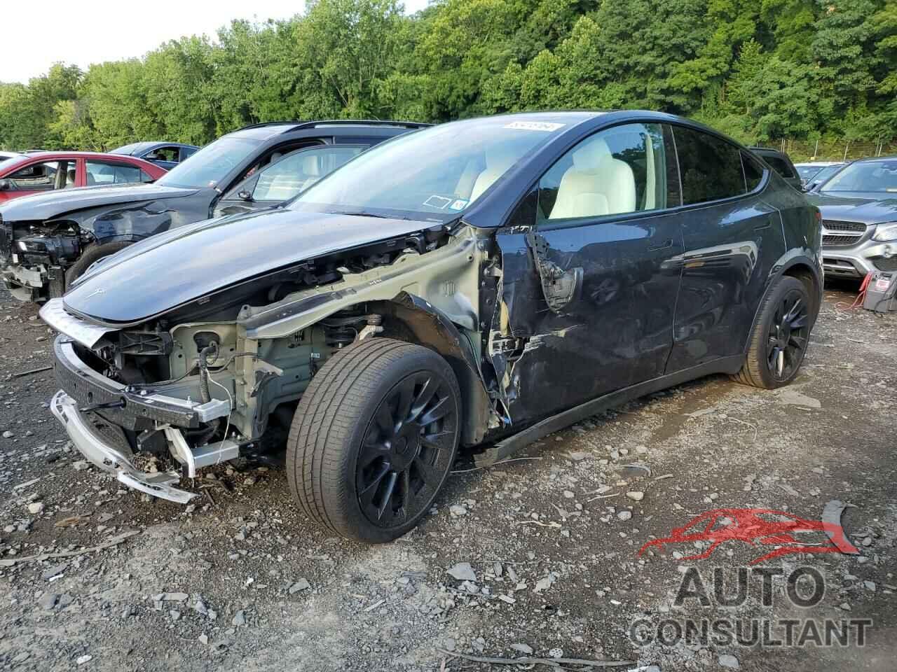 TESLA MODEL Y 2024 - 7SAYGDEE3RA233282