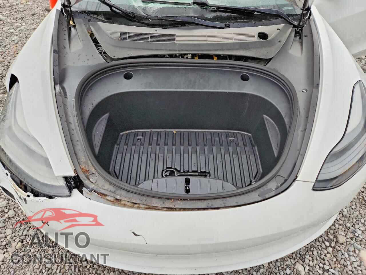 TESLA MODEL 3 2021 - 5YJ3E1EA1MF874581
