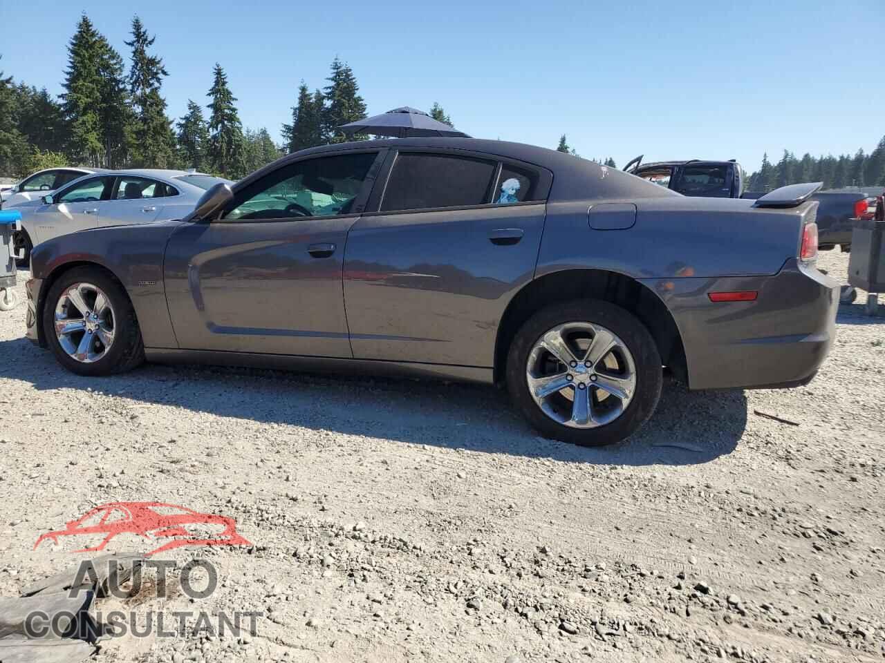DODGE CHARGER 2013 - 2C3CDXCT9DH730365