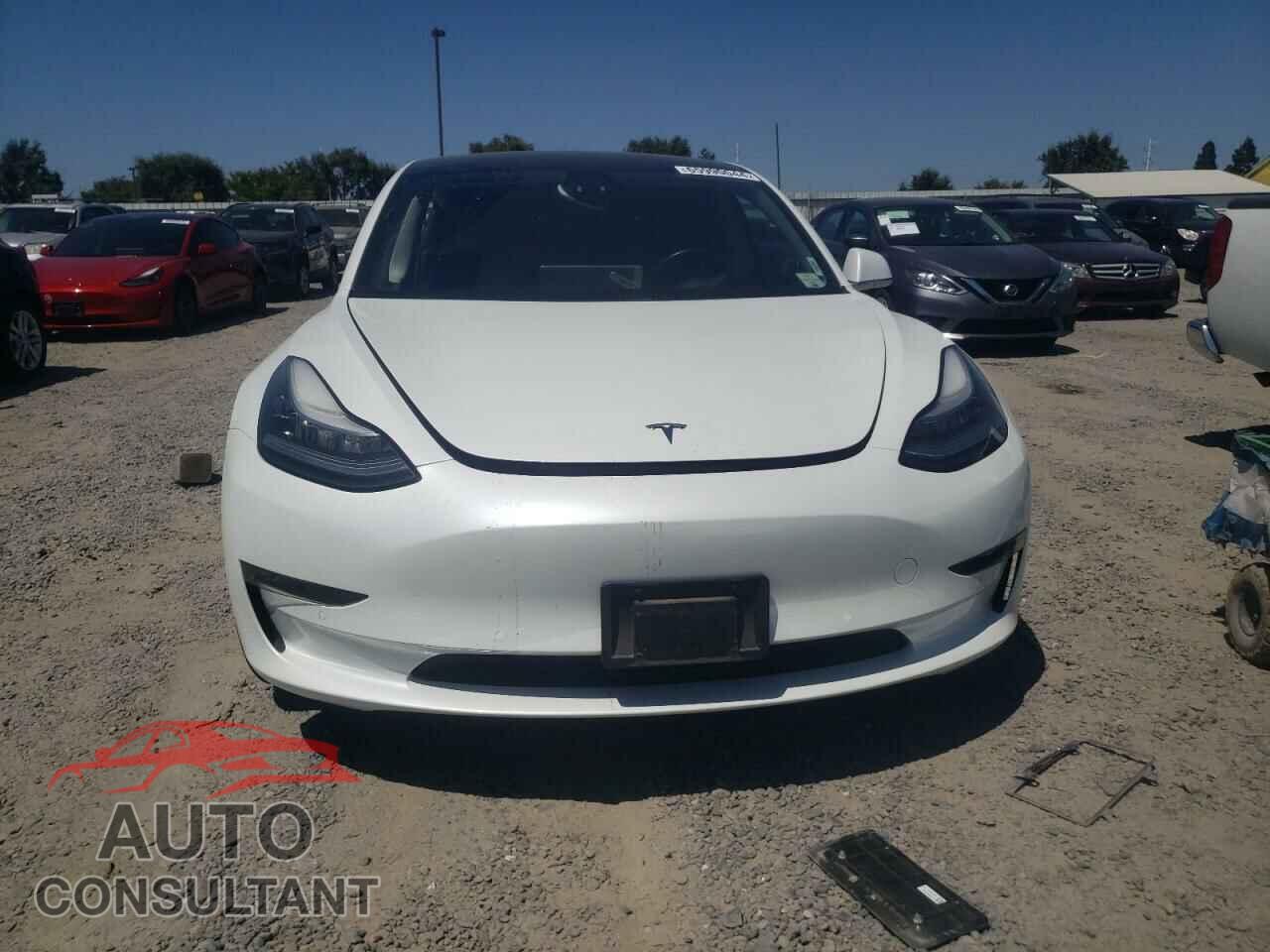 TESLA MODEL 3 2019 - 5YJ3E1EA6KF401207