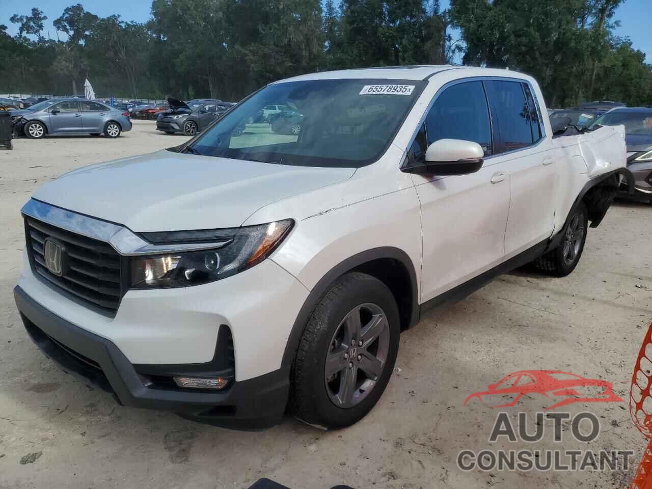 HONDA RIDGELINE 2023 - 5FPYK3F52PB020691