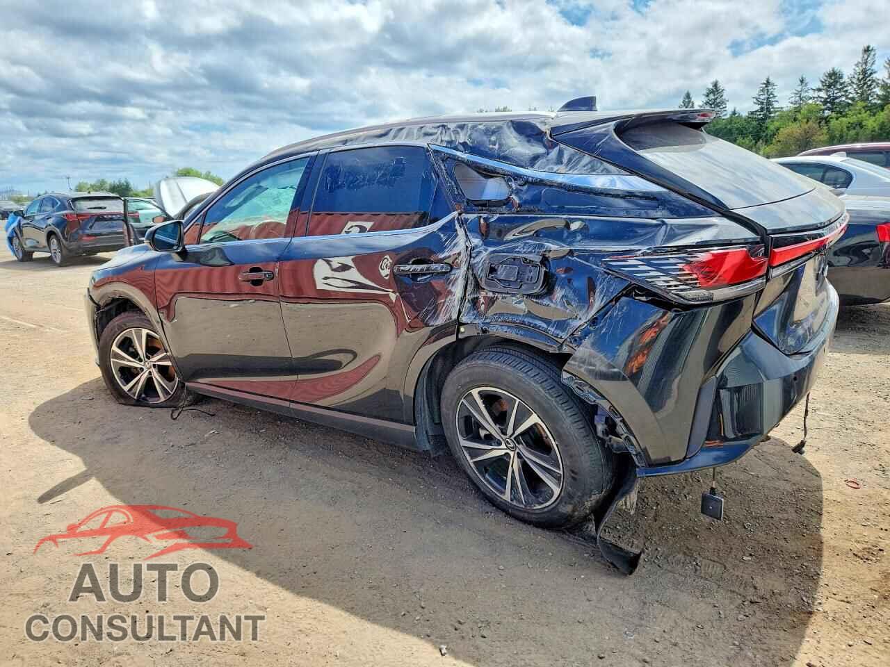 LEXUS RX300 2024 - 2T2BBMCA6RC038510