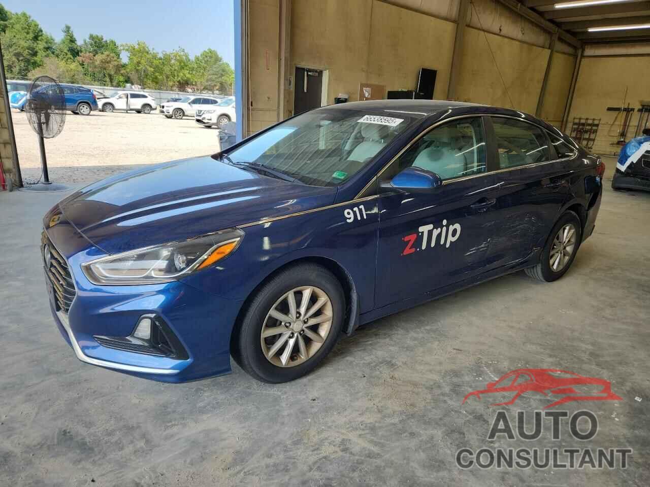 HYUNDAI SONATA 2019 - 5NPE24AF5KH796924
