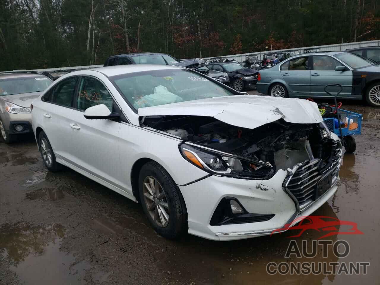 HYUNDAI SONATA 2018 - 5NPE24AF7JH706249
