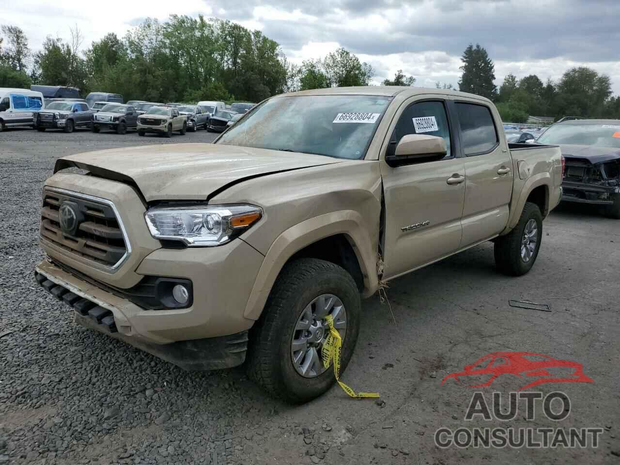 TOYOTA TACOMA 2019 - 3TMCZ5AN5KM256791