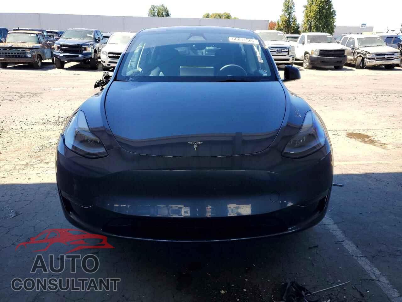 TESLA MODEL Y 2023 - 7SAYGAEE2PF862675