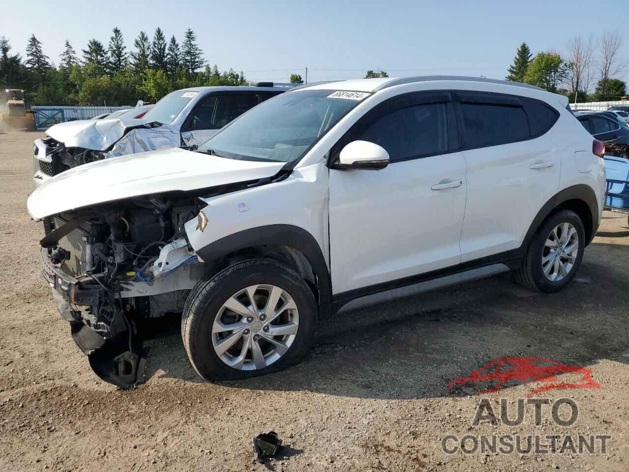 HYUNDAI TUCSON 2019 - KM8J33A49KU946832