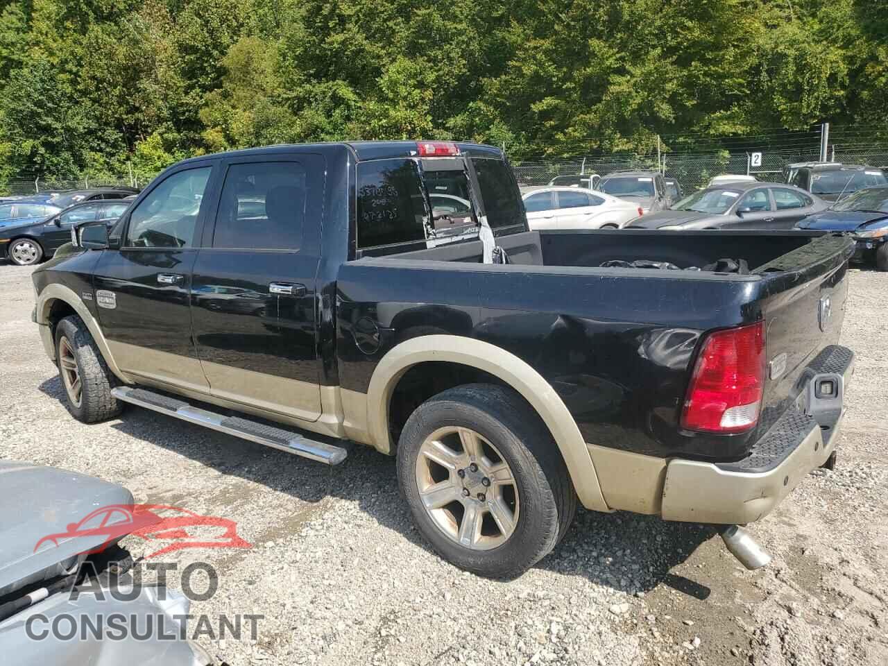 DODGE RAM 1500 2012 - 1C6RD7PT3CS133940