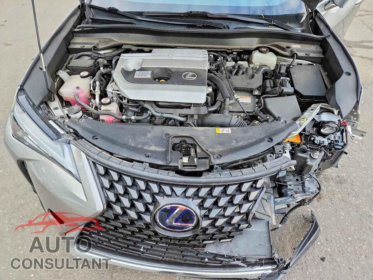 LEXUS ALL OTHER 2019 - JTHU9JBH0K2009237