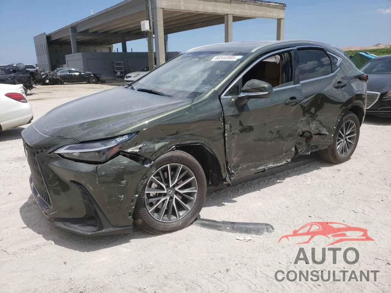 LEXUS NX 350 PRE 2024 - JTJGGCEZ4R2012315