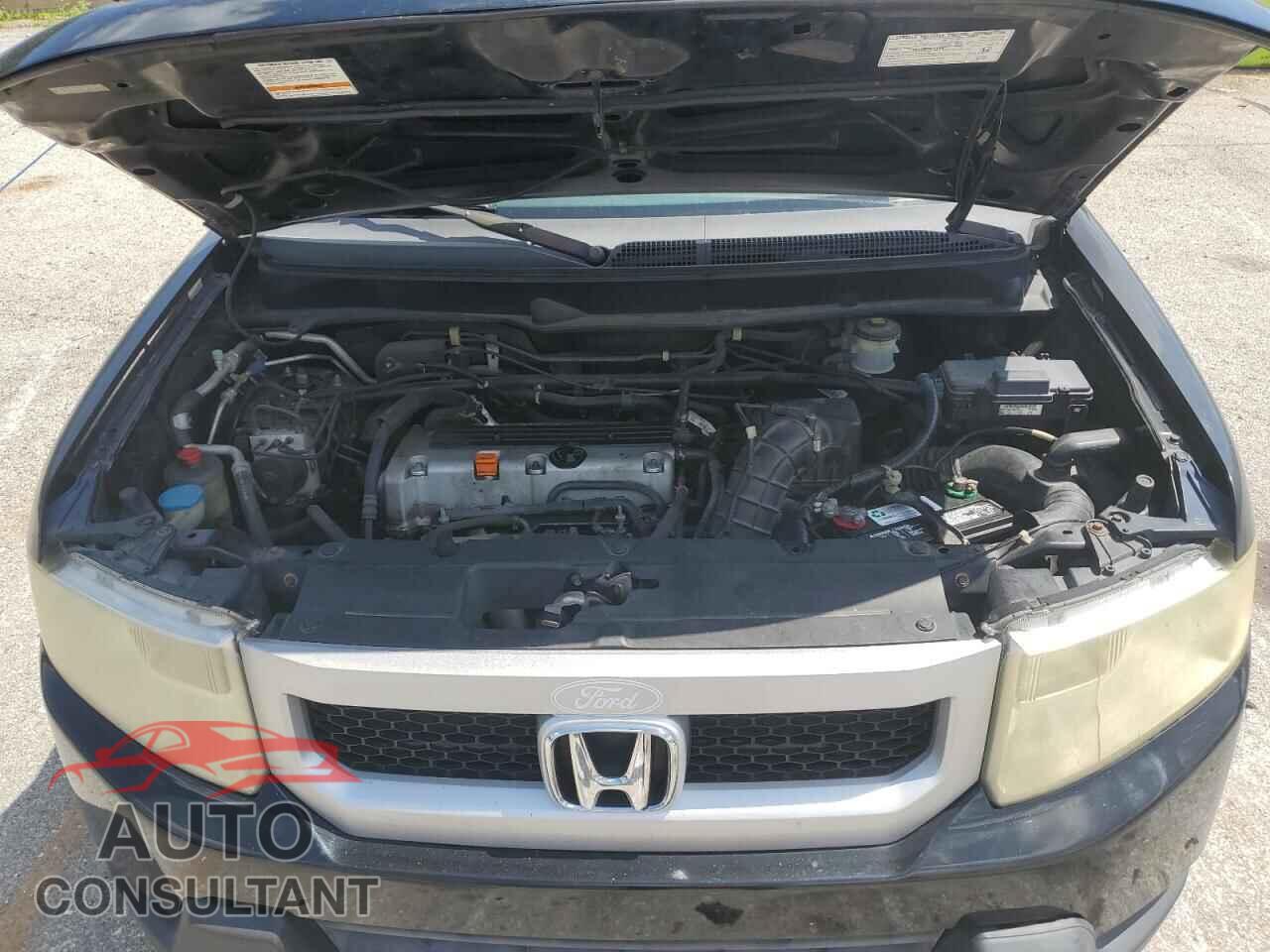 HONDA ELEMENT 2009 - 5J6YH18319L004600