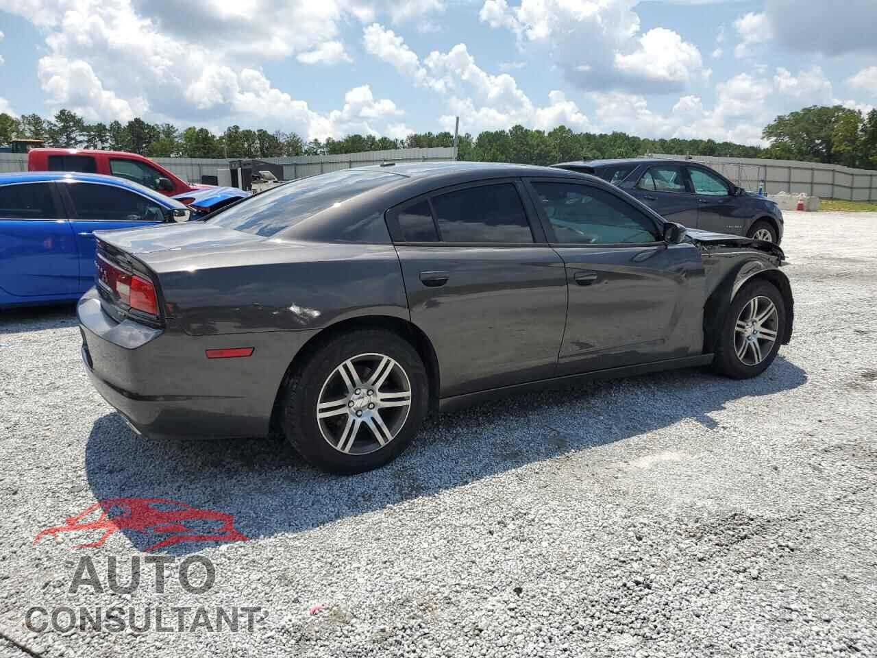 DODGE CHARGER 2014 - 2C3CDXHG3EH325017