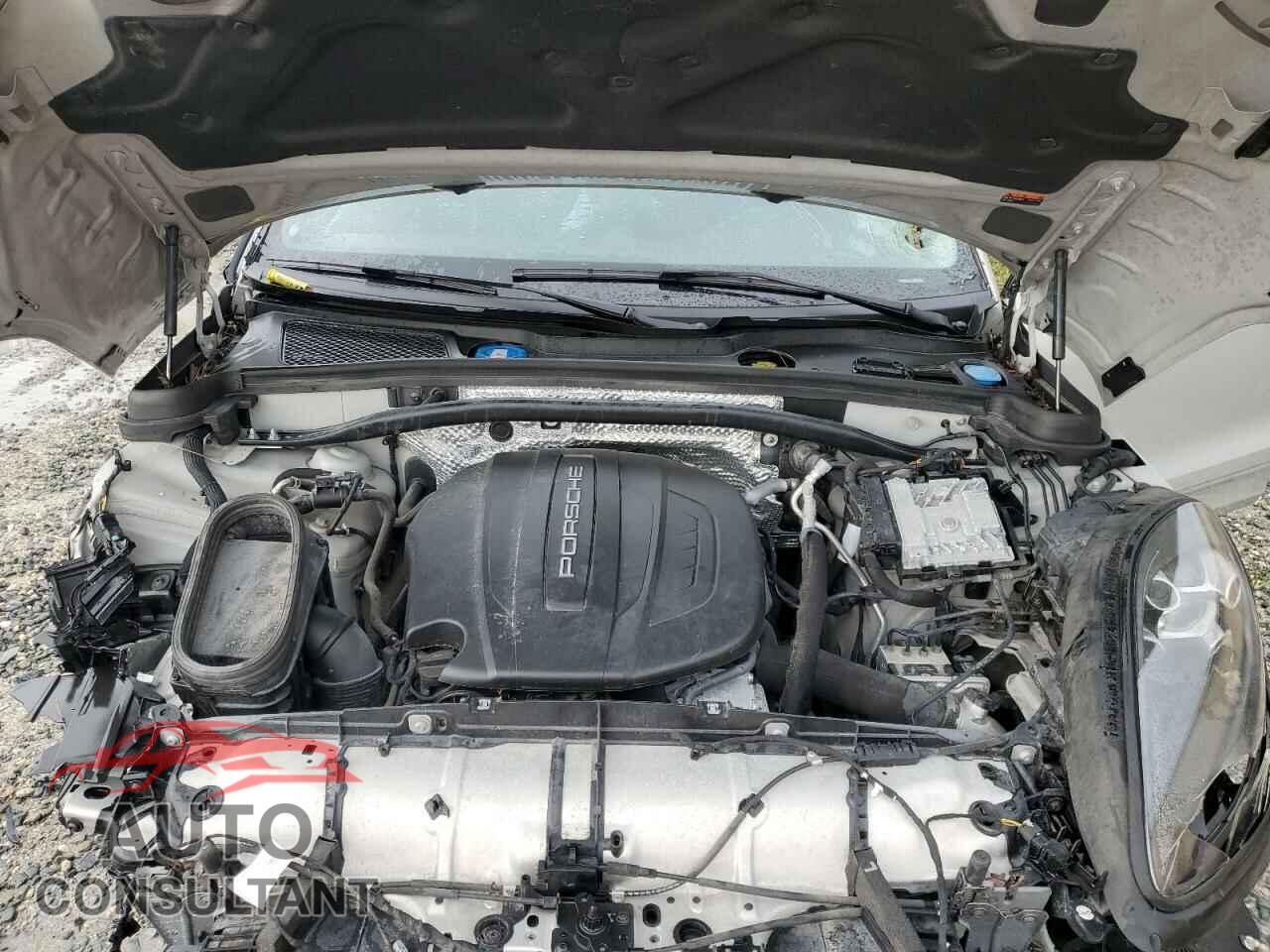 PORSCHE MACAN 2019 - WP1AA2A54KLB06667