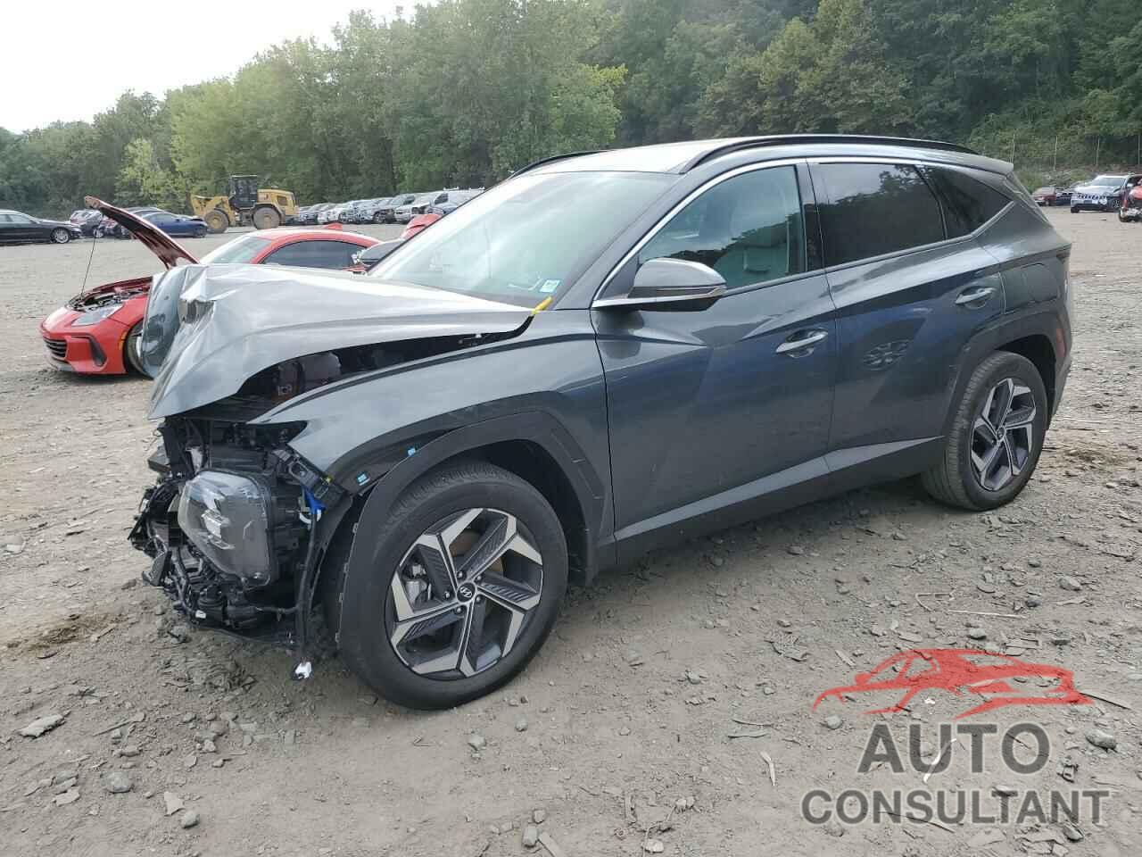 HYUNDAI TUCSON 2024 - KM8JECD14RU217501
