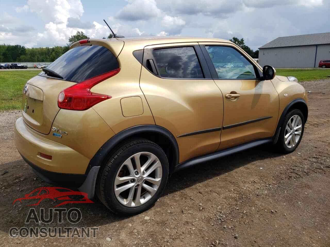 NISSAN JUKE 2013 - JN8AF5MV5DT207451
