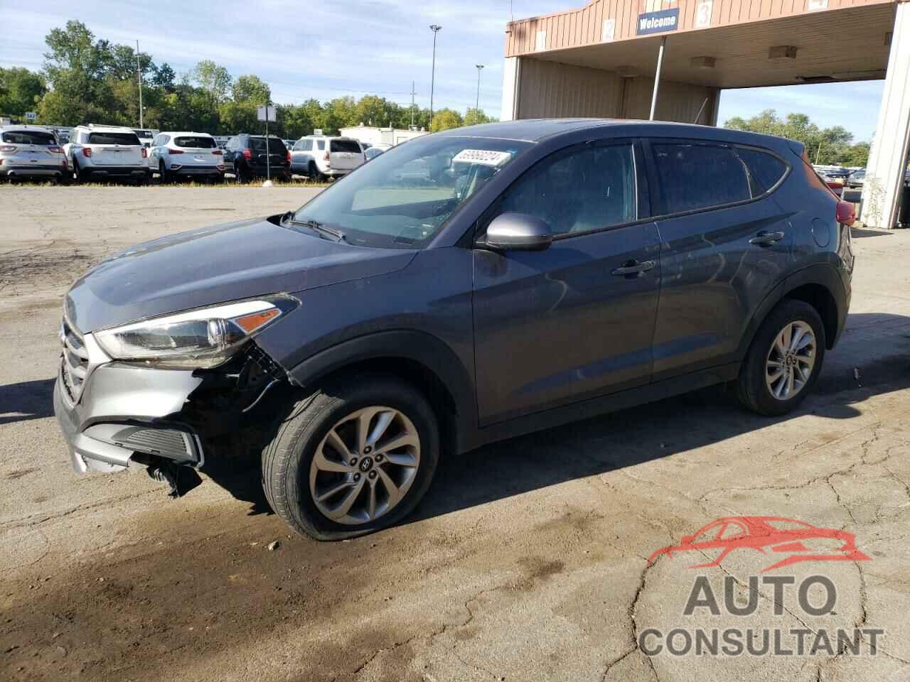 HYUNDAI TUCSON 2017 - KM8J23A43HU261818