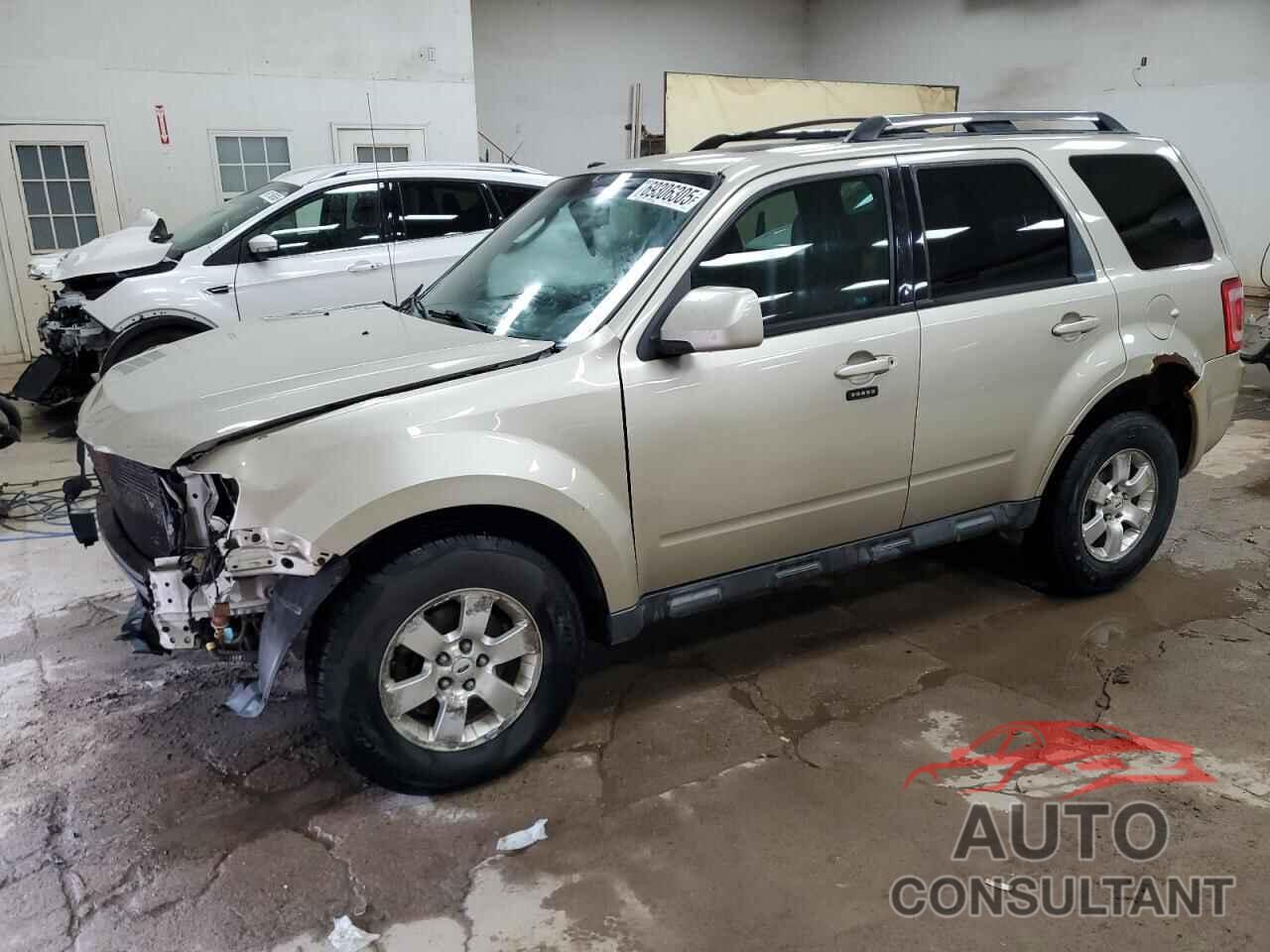 FORD ESCAPE 2010 - 1FMCU0EG6AKA54282