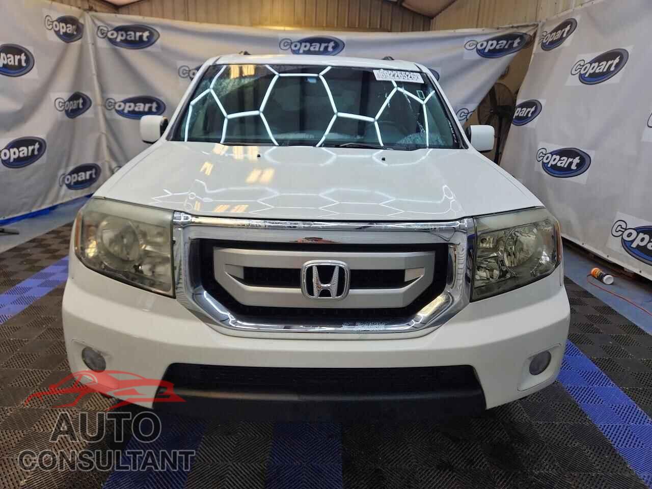 HONDA PILOT 2011 - 5FNYF3H56BB014962
