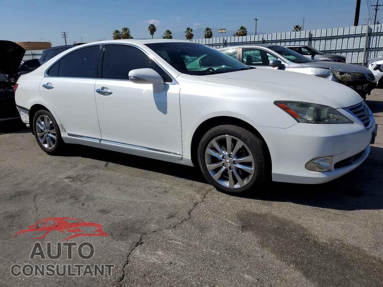 LEXUS ES350 2011 - JTHBK1EG8B2443713