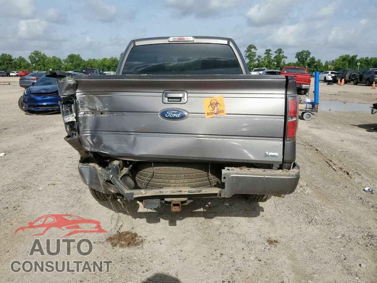 FORD F-150 2010 - 1FTFW1CV0AKE41316