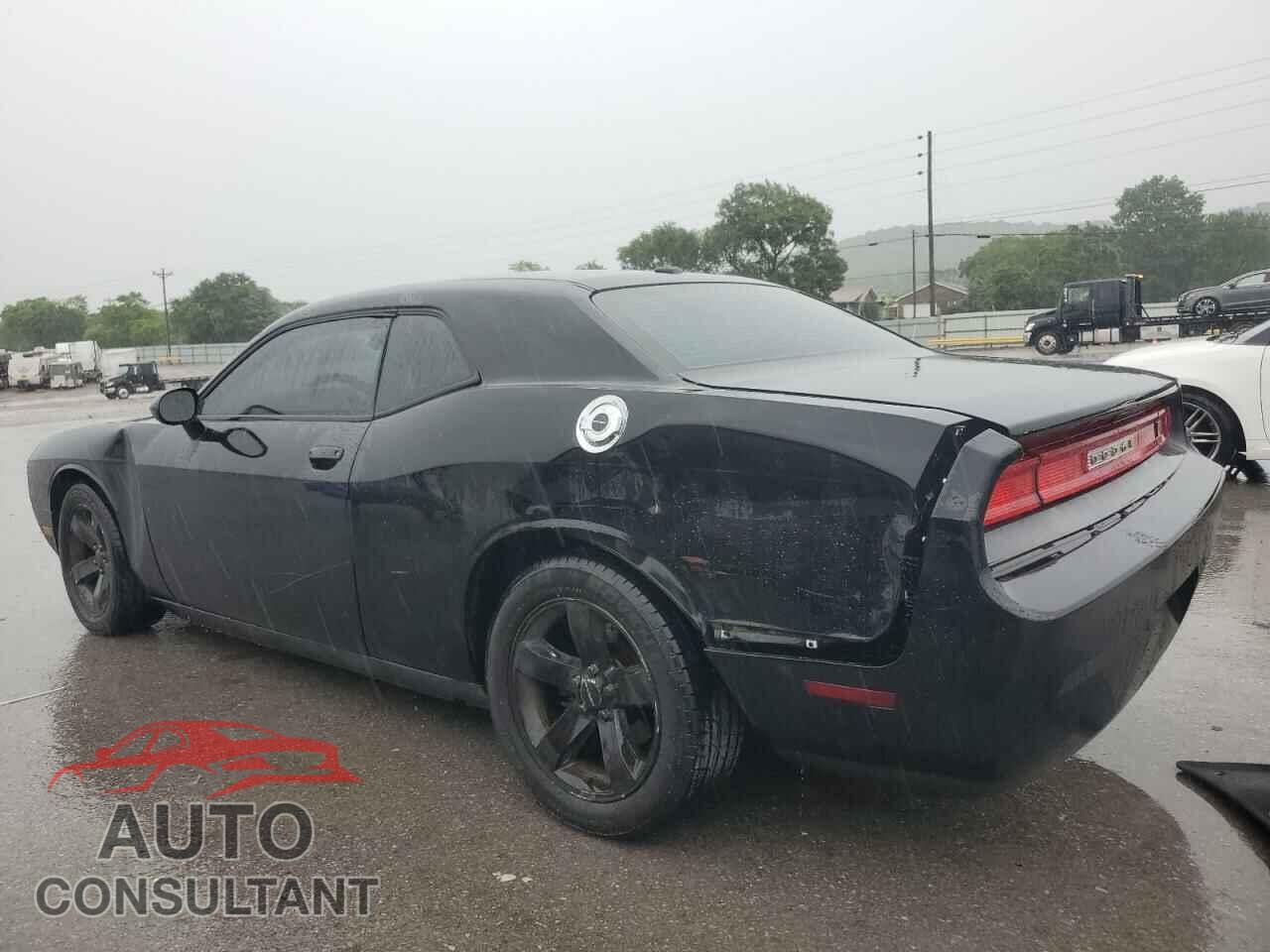 DODGE CHALLENGER 2013 - 2C3CDYAGXDH591018