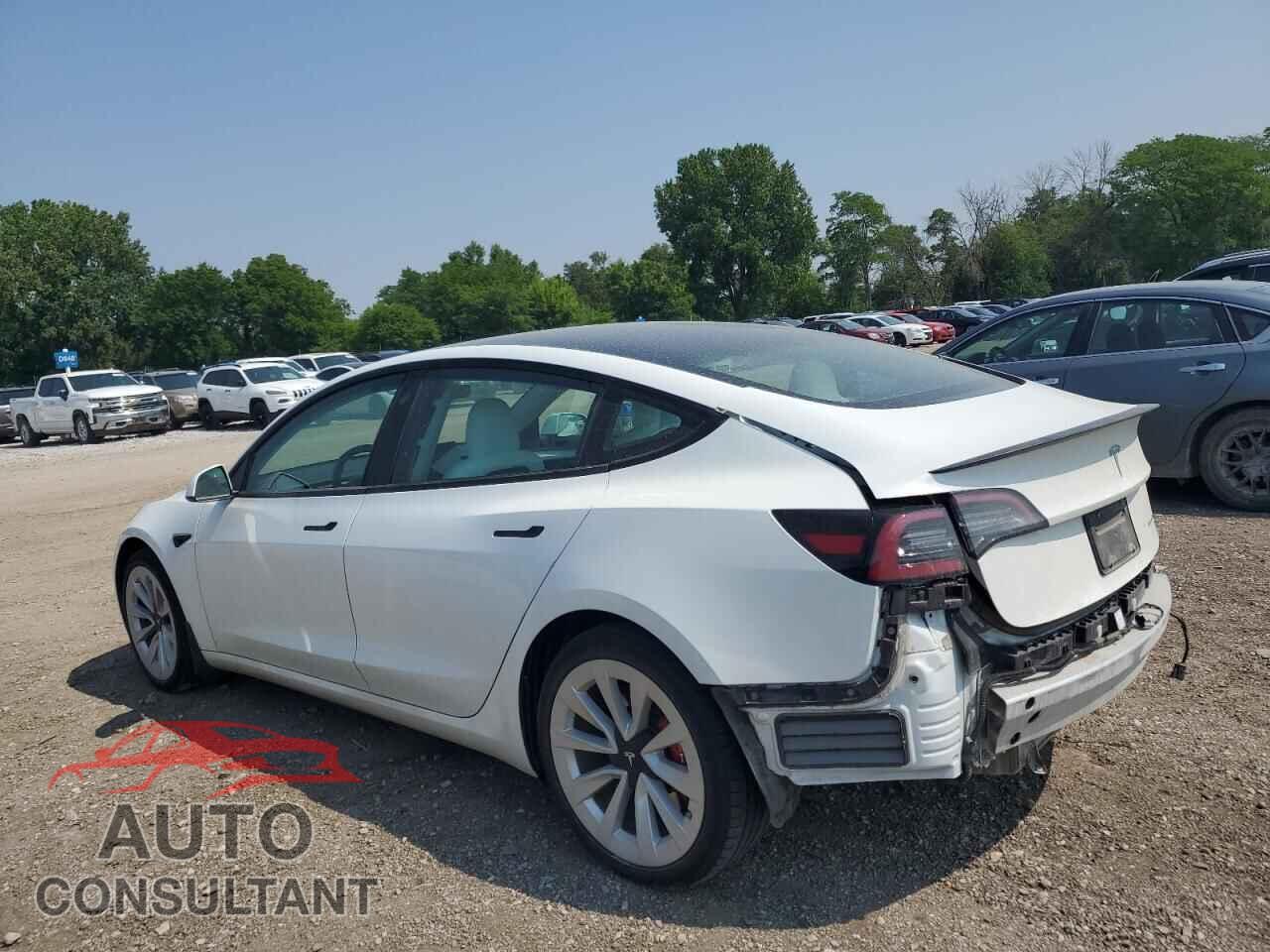 TESLA MODEL 3 2021 - 5YJ3E1EBXMF019922