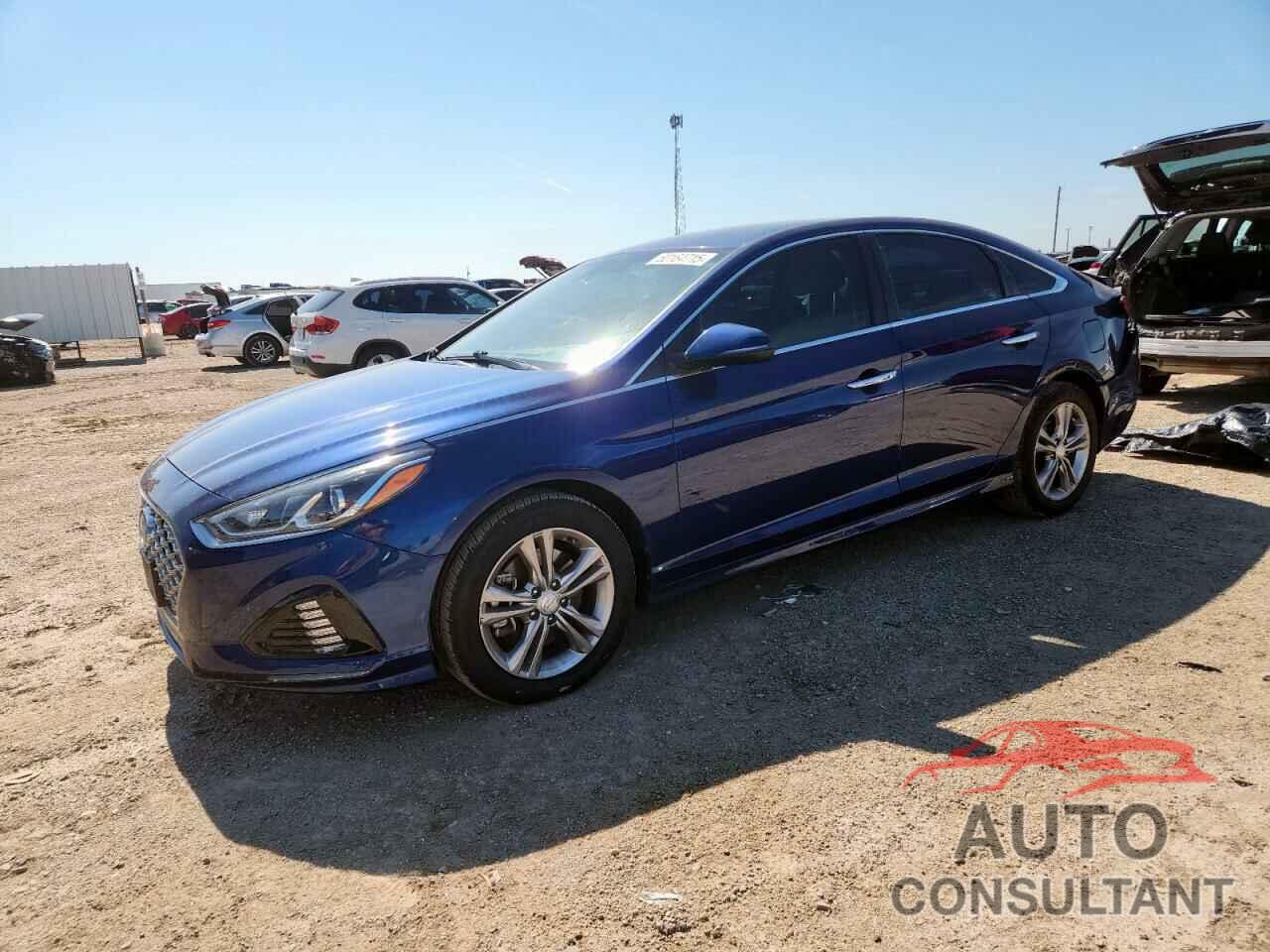HYUNDAI SONATA 2019 - 5NPE34AF9KH818095