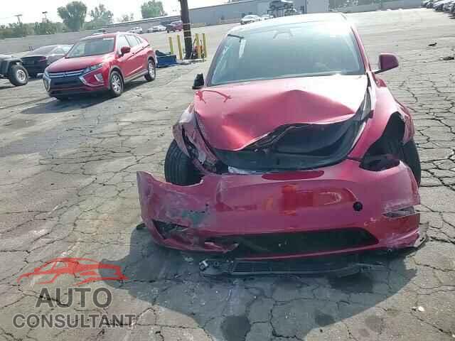 TESLA MODEL Y 2024 - 7SAYGDED3RF166676