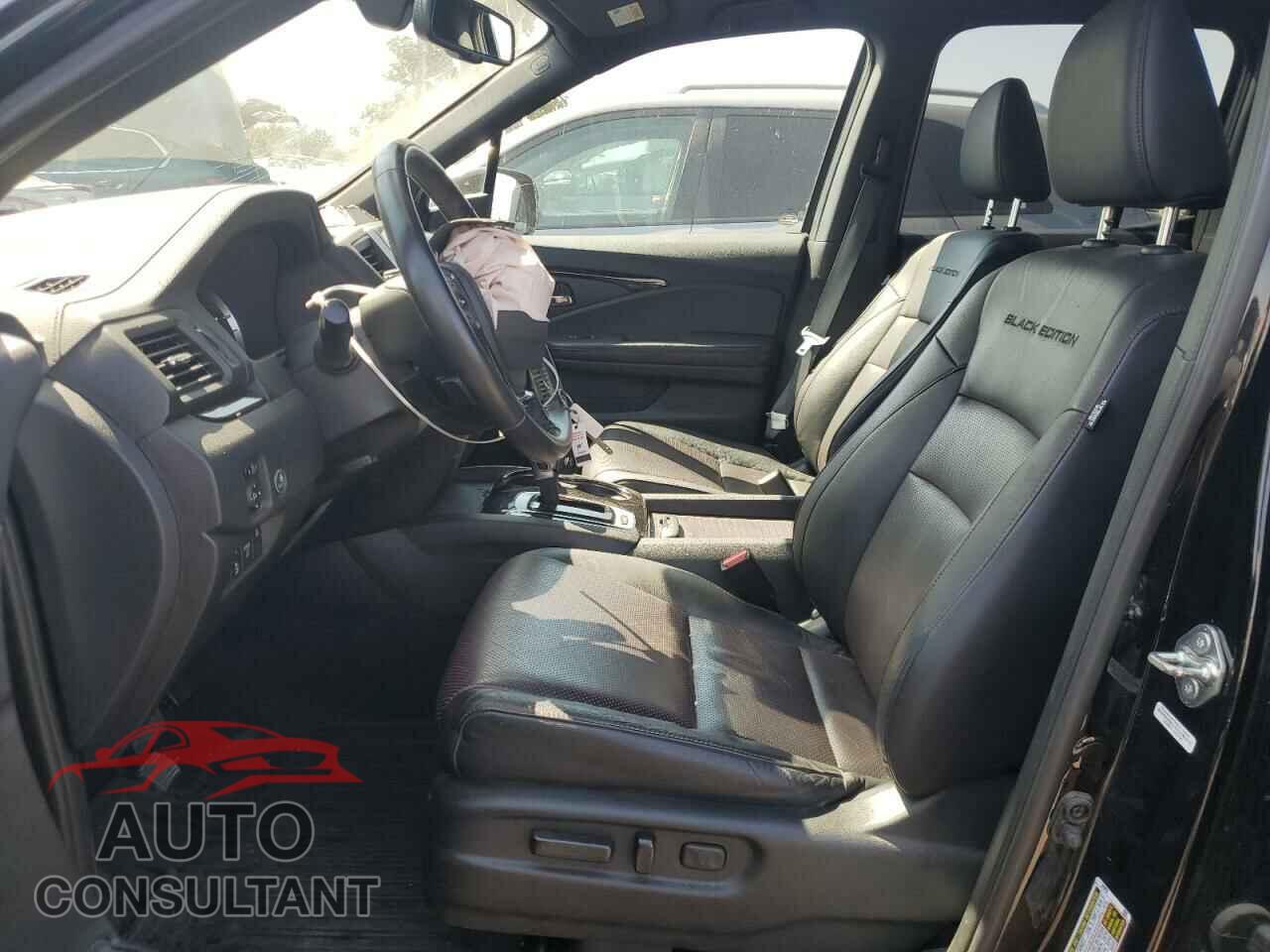 HONDA RIDGELINE 2019 - 5FPYK3F82KB008527