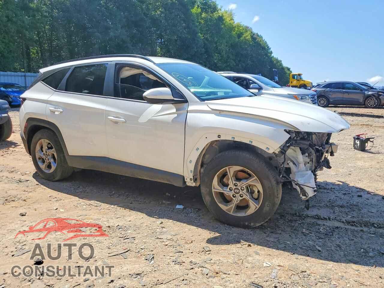 HYUNDAI TUCSON 2024 - 5NMJB3DE9RH395265