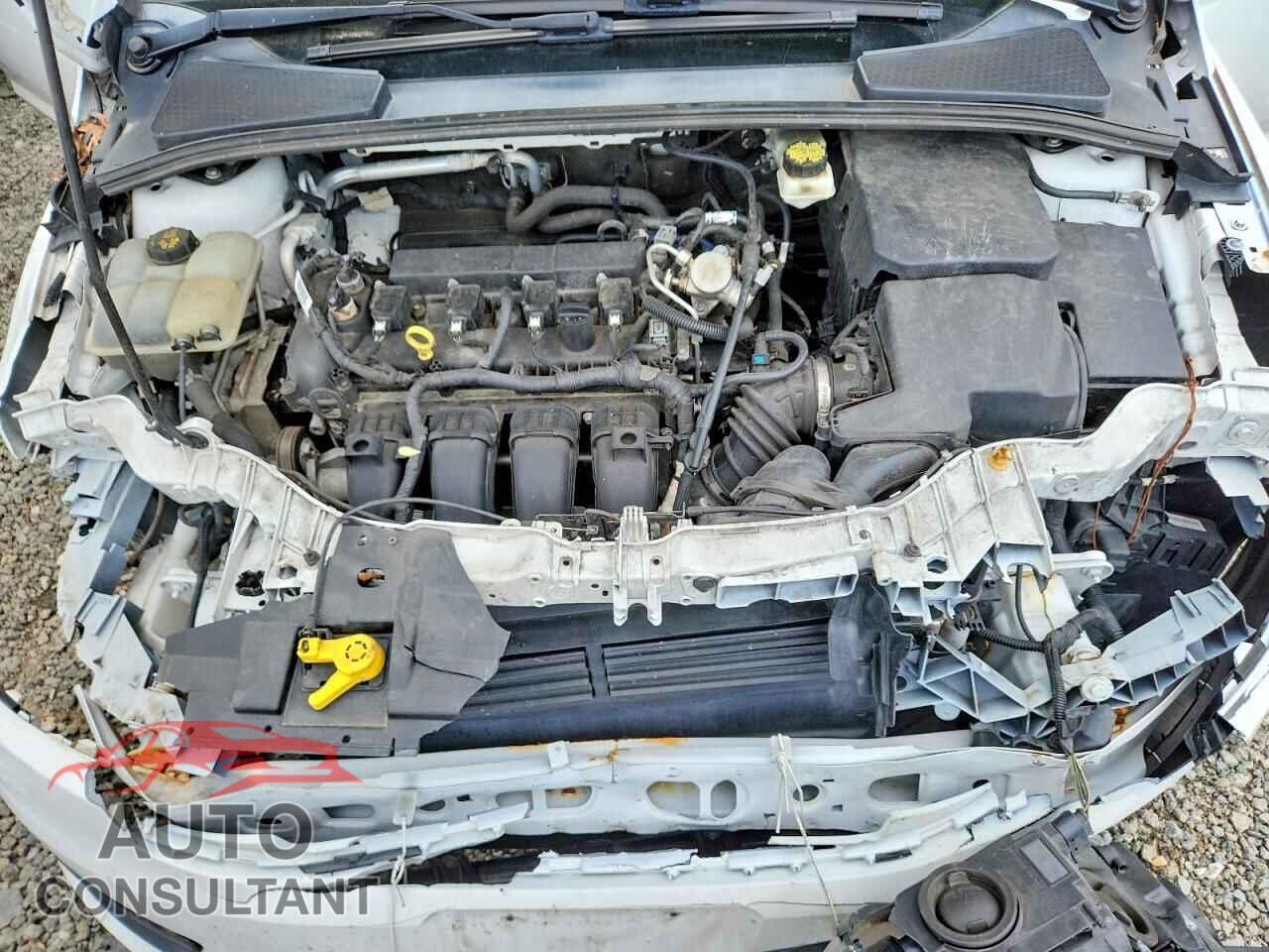 FORD FOCUS 2017 - 1FADP3K20HL249394