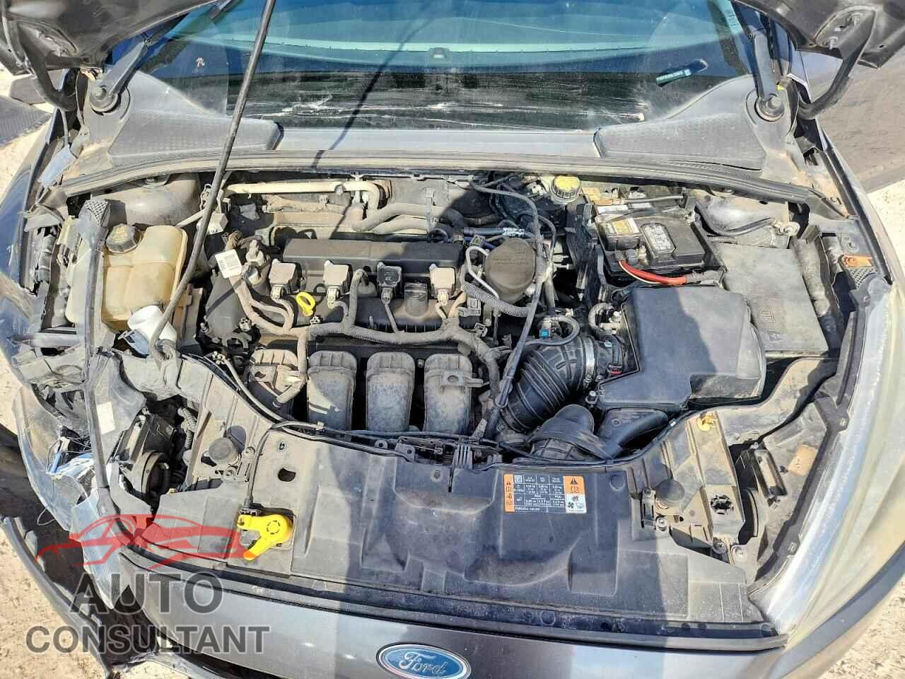 FORD FOCUS 2016 - 1FADP3E20GL229978
