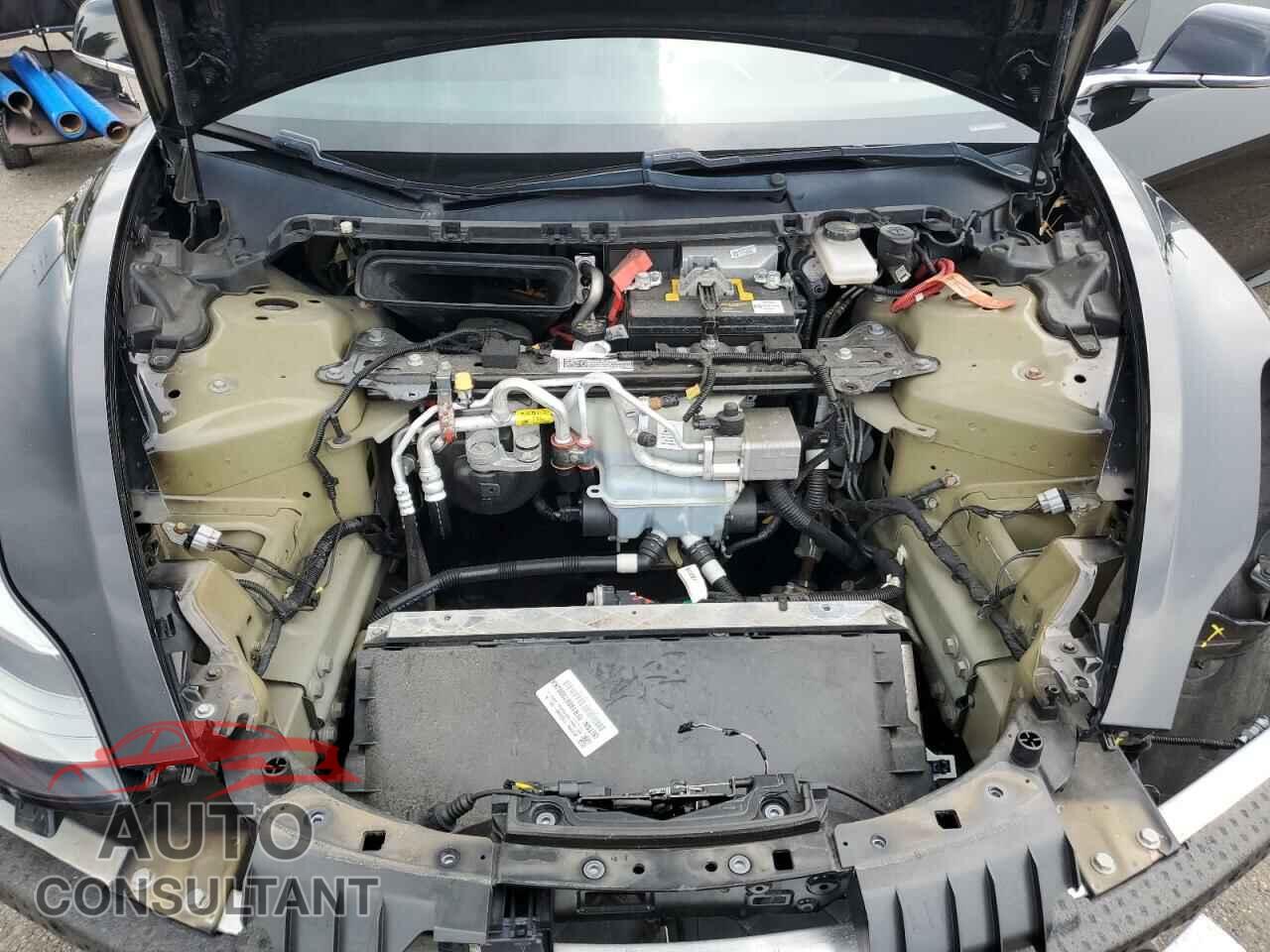 TESLA MODEL 3 2019 - 5YJ3E1EA6KF305741