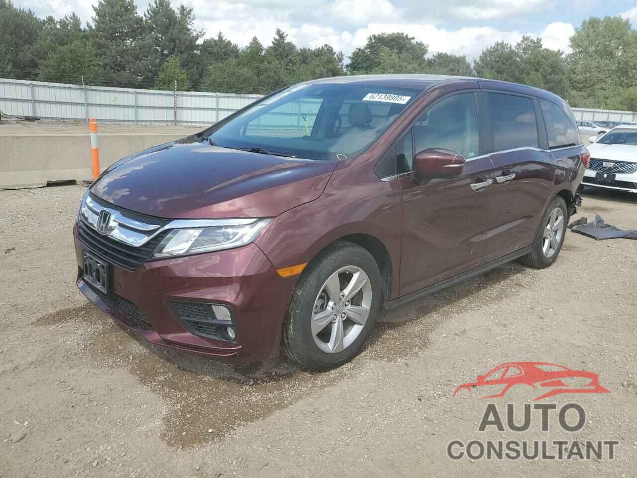HONDA All Models 2019 - 5FNRL6H75KB135272