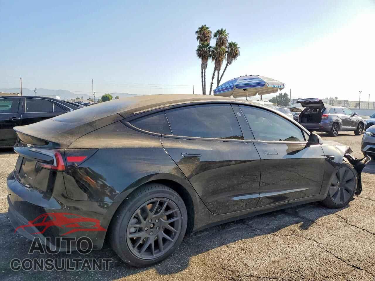 TESLA MODEL 3 2024 - 5YJ3E1EB9RF843739