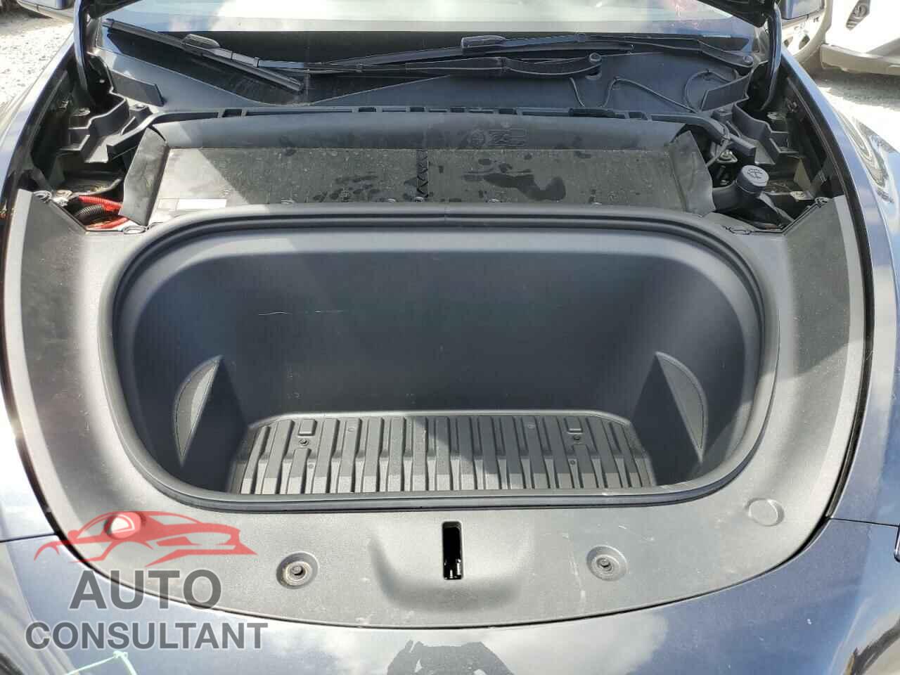 TESLA MODEL Y 2024 - 7SAYGDED1RF053003