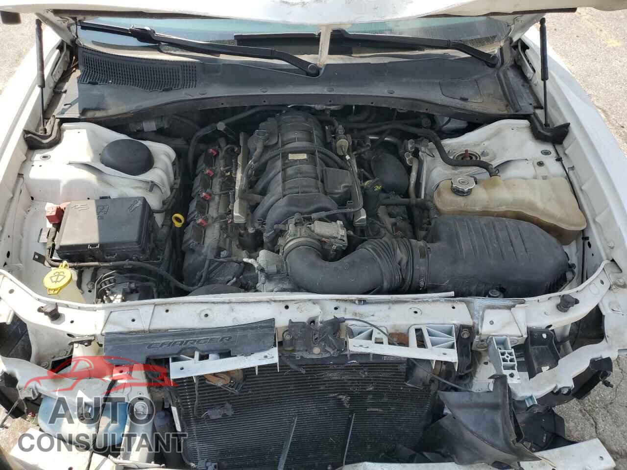 DODGE CHARGER 2019 - 2C3CDXKT2KH537800