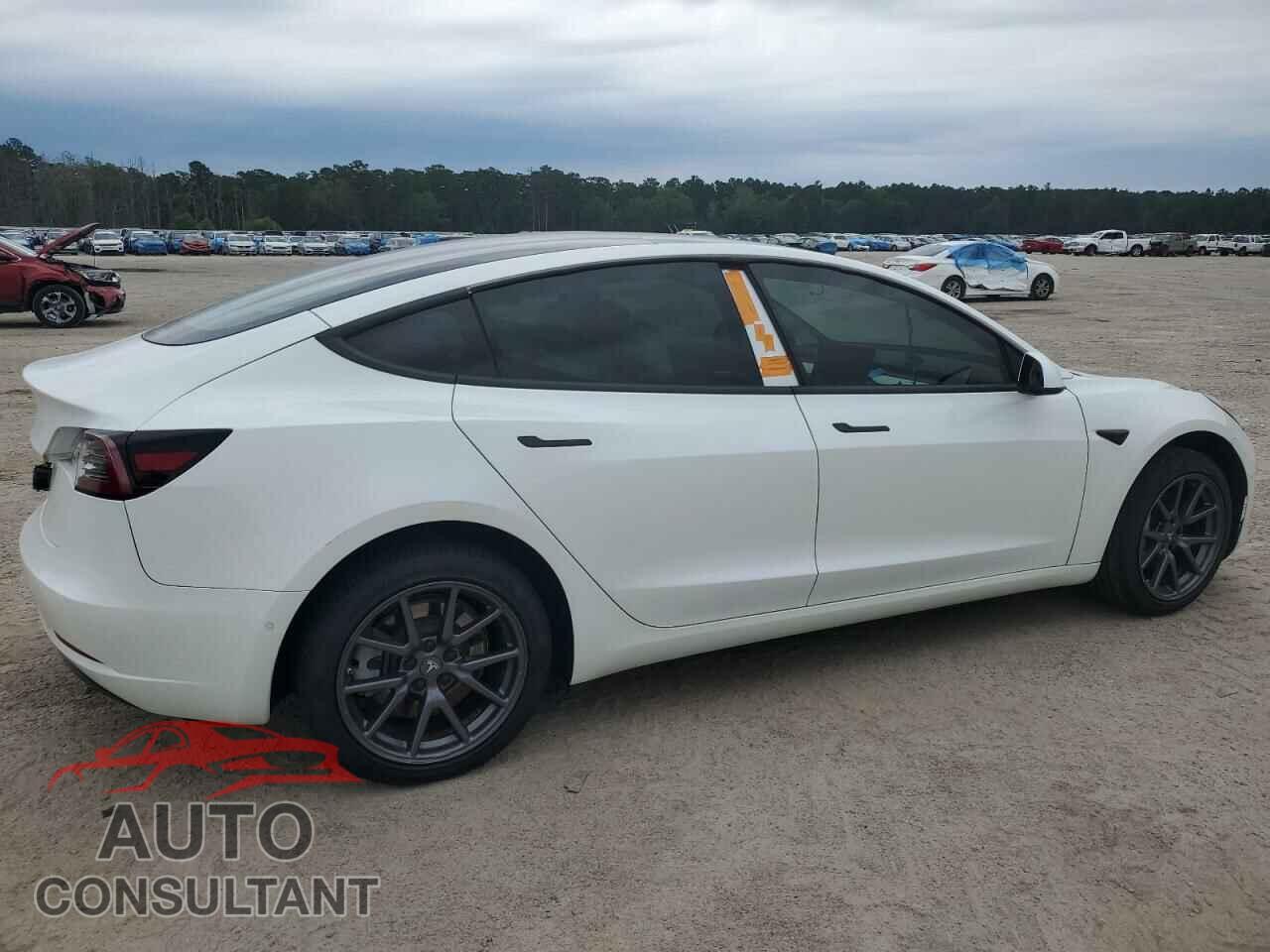 TESLA MODEL 3 2019 - 5YJ3E1EA9KF302025