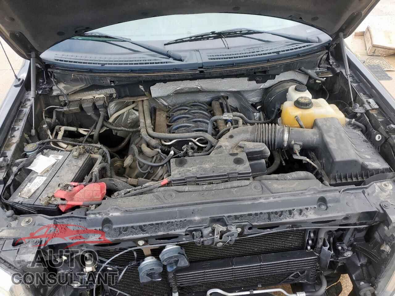 FORD F-150 2013 - 1FTFX1CF5DFD25614
