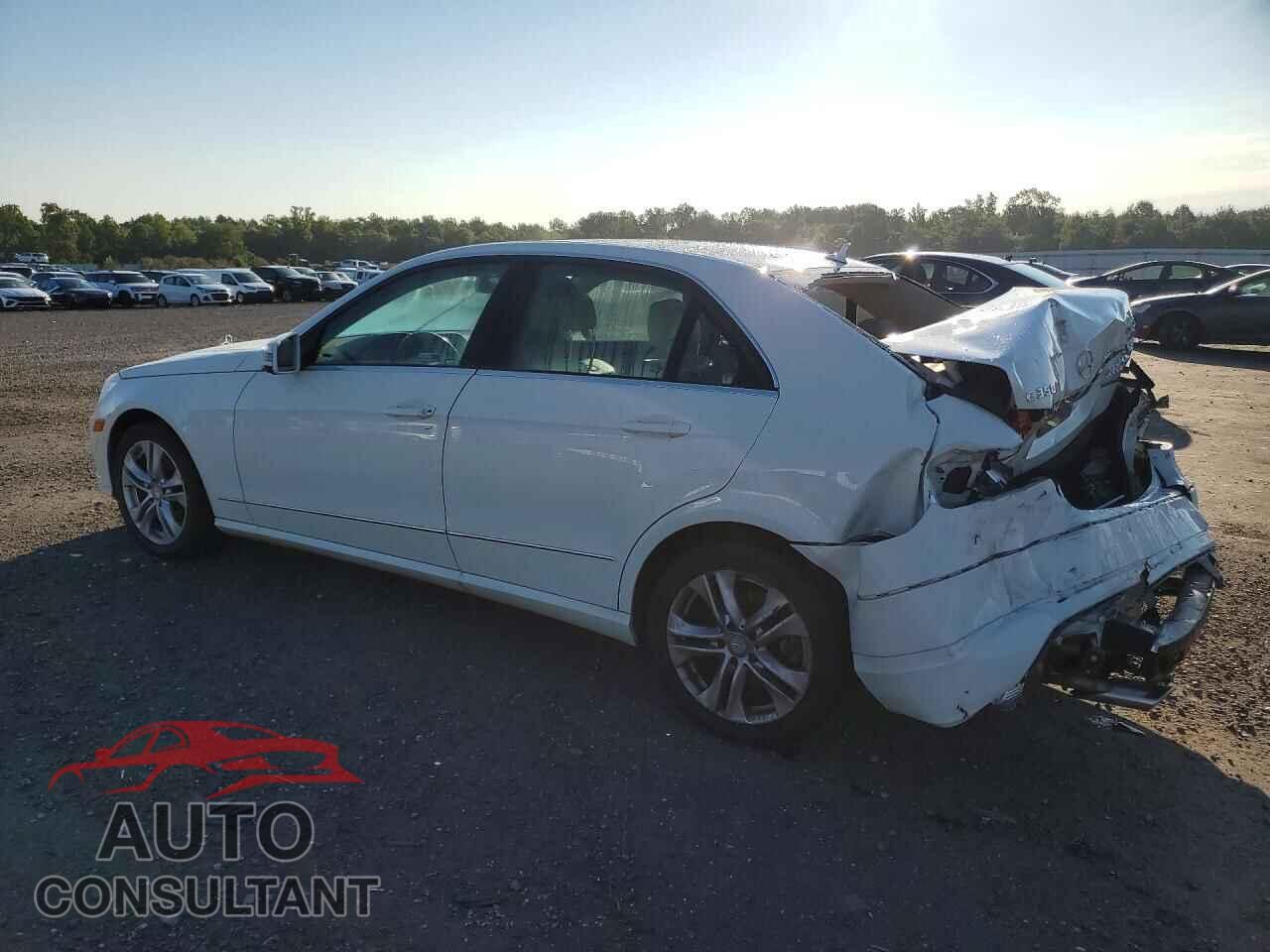 MERCEDES-BENZ E-CLASS 2010 - WDDHF8HB6AA116245