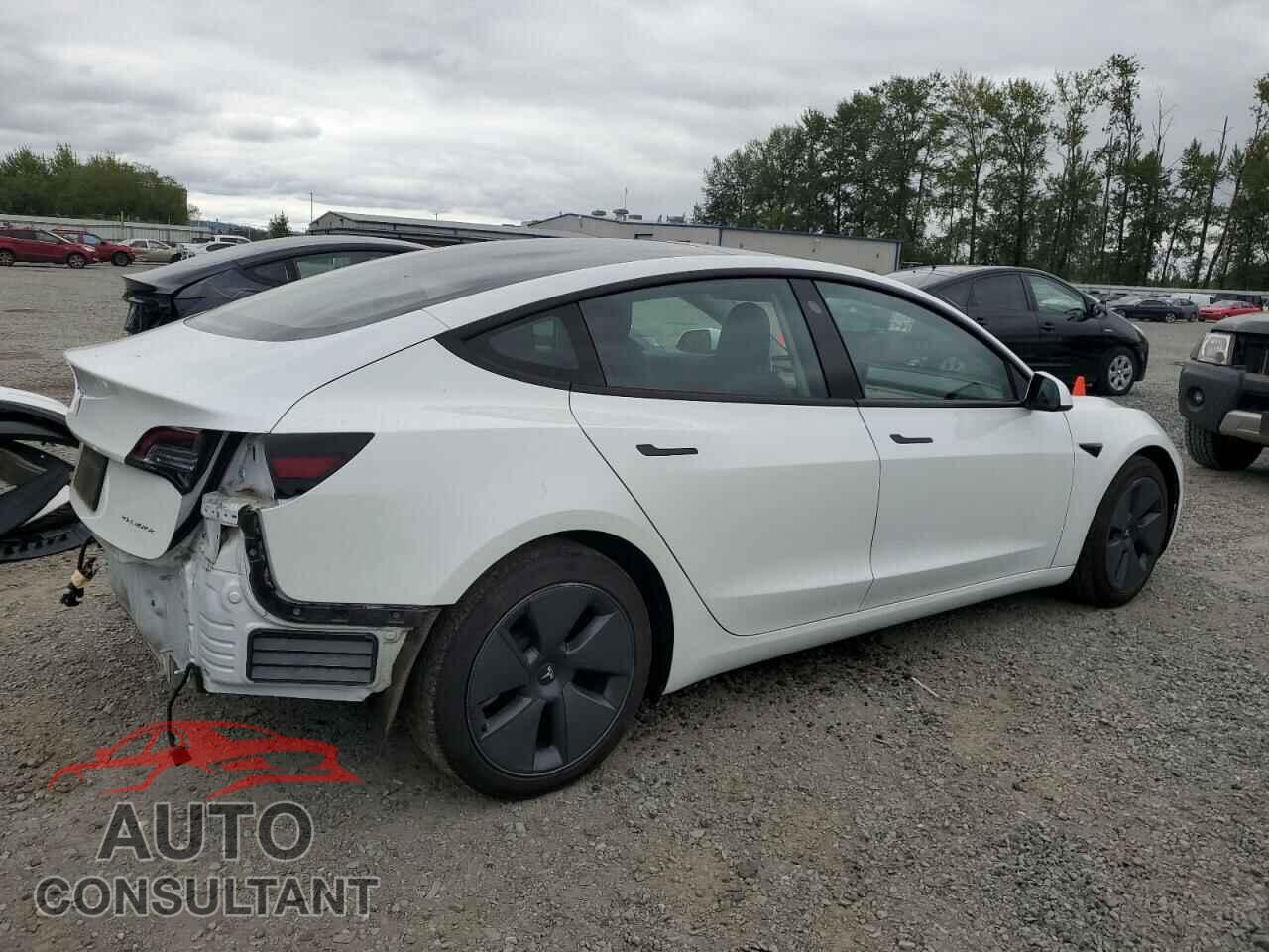 TESLA MODEL 3 2021 - 5YJ3E1EB7MF872844