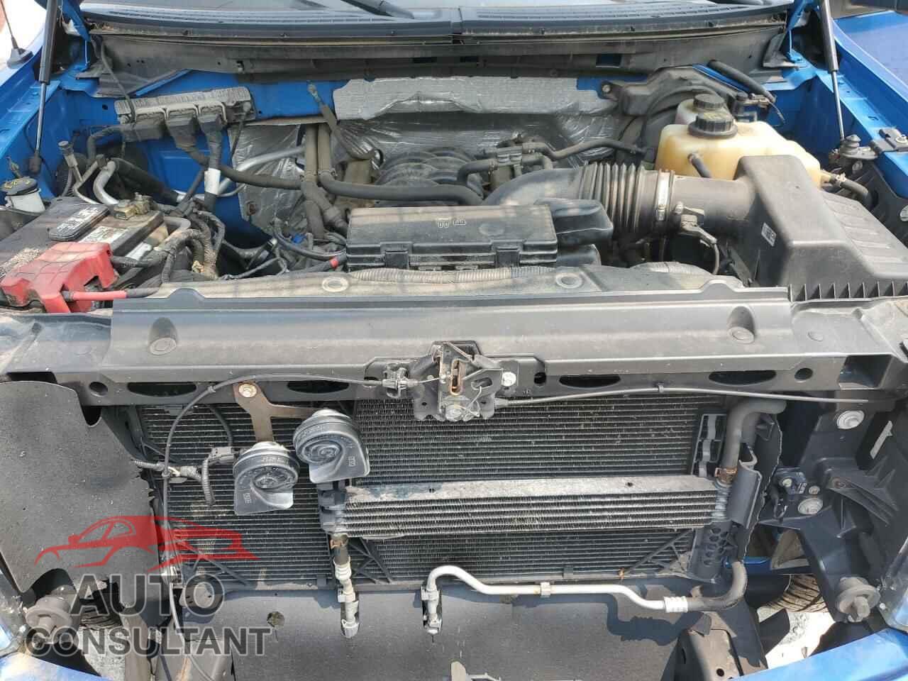 FORD F-150 2013 - 1FTFX1EFXDFB25504