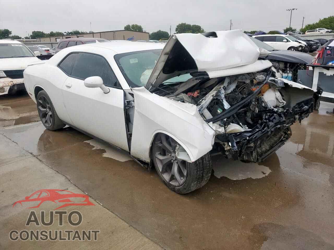 DODGE CHALLENGER 2019 - 2C3CDZAG9KH751487