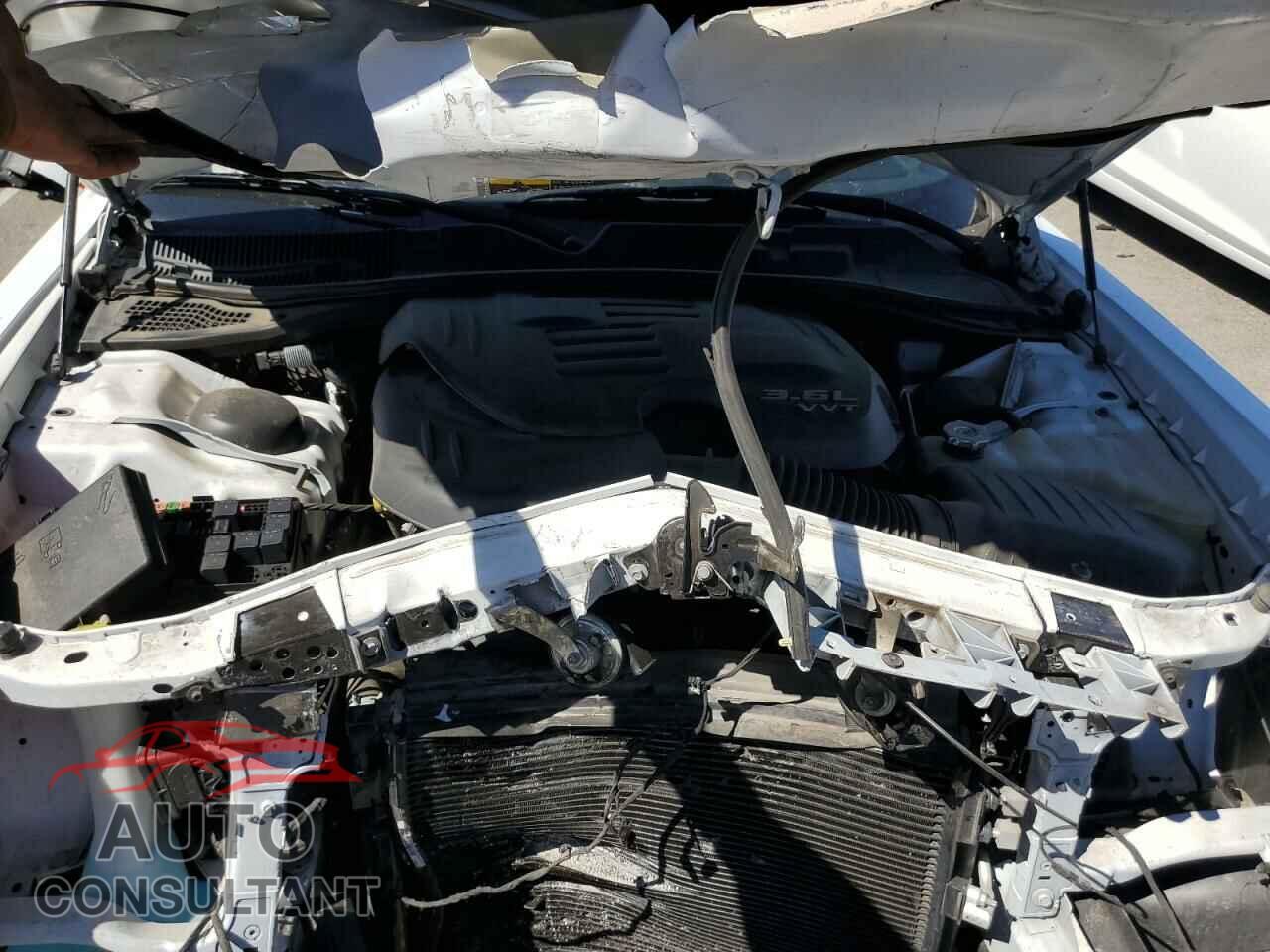 DODGE CHALLENGER 2019 - 2C3CDZAG0KH649883