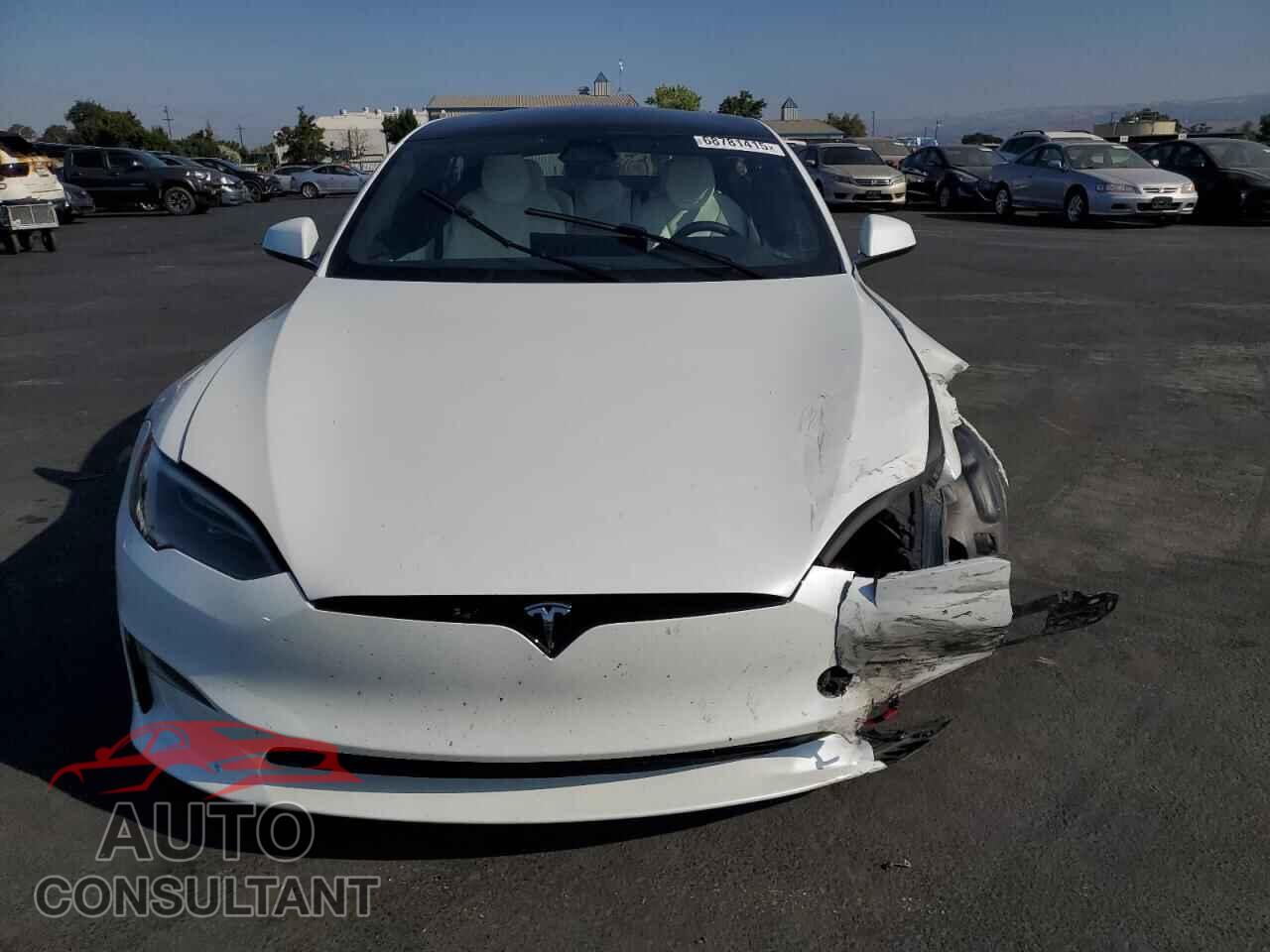 TESLA MODEL S 2024 - 5YJSA1E51RF544389