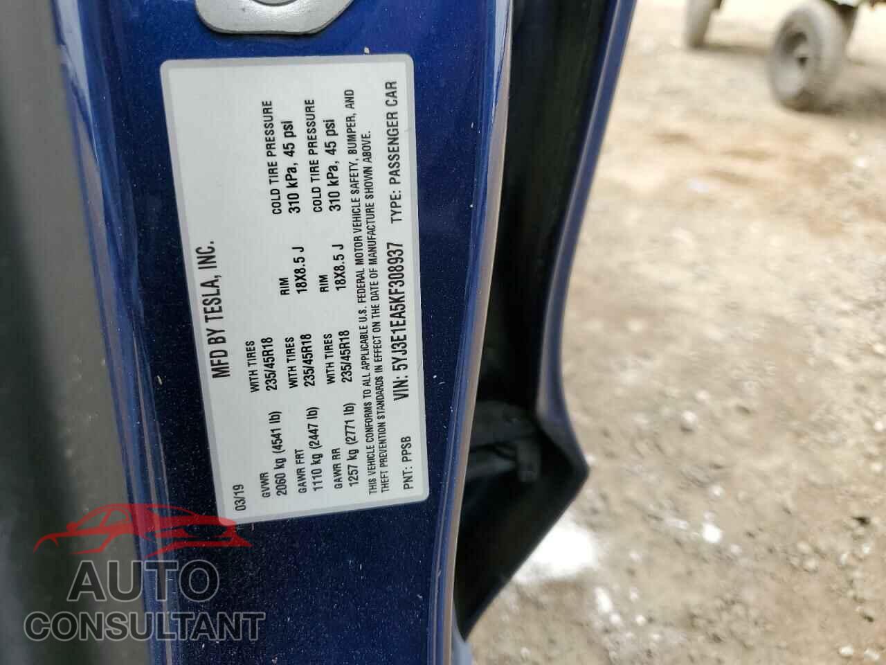 TESLA MODEL 3 2019 - 5YJ3E1EA5KF308937