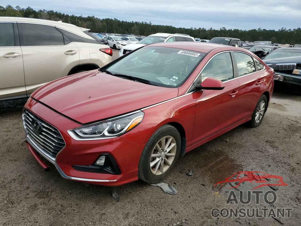 HYUNDAI SONATA 2019 - 5NPE24AF9KH795985